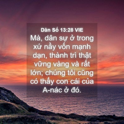 Picture 04 - Dân Số 13:28 VIE - Mà, dân sự ở trong xứ nầy vốn mạnh - Bible Verse Picture