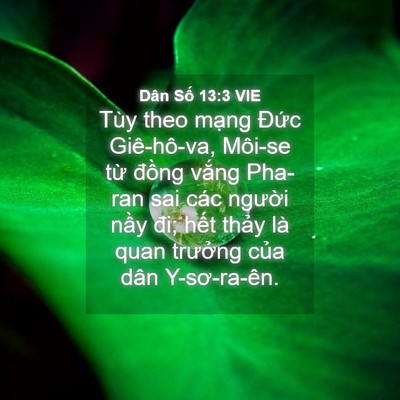 Picture 04 - Dân Số 13:3 VIE - Tùy theo mạng Đức Giê-hô-va, Môi-se từ - Bible Verse Picture