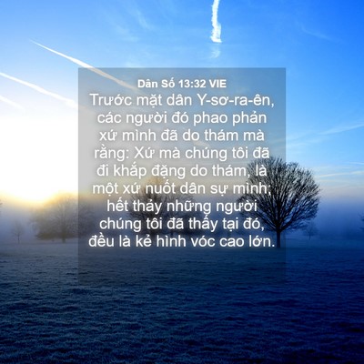 Picture 04 - Dân Số 13:32 VIE - Trước mặt dân Y-sơ-ra-ên, các người - Bible Verse Picture