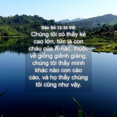 Picture 04 - Dân Số 13:33 VIE - Chúng tôi có thấy kẻ cao lớn, tức là - Bible Verse Picture