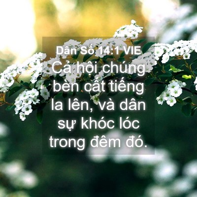 Picture 04 - Dân Số 14:1 VIE - Cả hội chúng bèn cất tiếng la lên, và - Bible Verse Picture