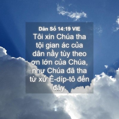 Picture 04 - Dân Số 14:19 VIE - Tôi xin Chúa tha tội gian ác của dân - Bible Verse Picture
