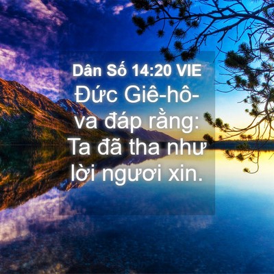 Picture 04 - Dân Số 14:20 VIE - Đức Giê-hô-va đáp rằng: Ta đã tha như - Bible Verse Picture