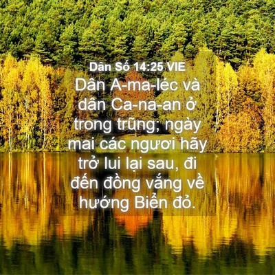 Picture 04 - Dân Số 14:25 VIE - Dân A-ma-léc và dân Ca-na-an ở trong - Bible Verse Picture