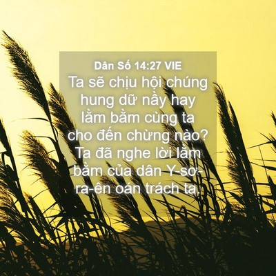 Picture 04 - Dân Số 14:27 VIE - Ta sẽ chịu hội chúng hung dữ nầy hay - Bible Verse Picture