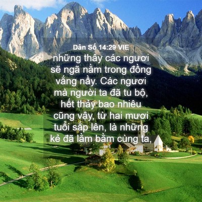 Picture 04 - Dân Số 14:29 VIE - những thây các ngươi sẽ ngã nằm trong - Bible Verse Picture