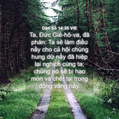 Picture 04 - Dân Số 14:35 VIE - Ta, Đức Giê-hô-va, đã phán: Ta sẽ làm - Bible Verse Picture