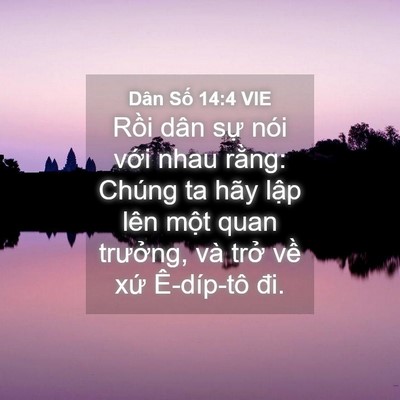 Picture 04 - Dân Số 14:4 VIE - Rồi dân sự nói với nhau rằng: Chúng ta - Bible Verse Picture