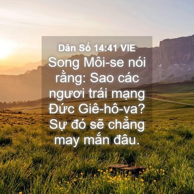 Picture 04 - Dân Số 14:41 VIE - Song Môi-se nói rằng: Sao các ngươi trái - Bible Verse Picture