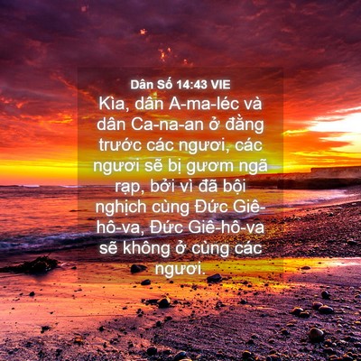 Picture 04 - Dân Số 14:43 VIE - Kìa, dân A-ma-léc và dân Ca-na-an ở - Bible Verse Picture