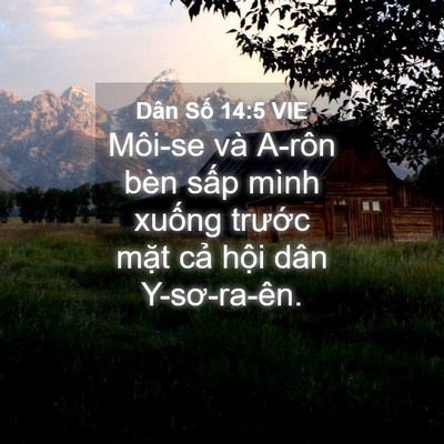 Picture 04 - Dân Số 14:5 VIE - Môi-se và A-rôn bèn sấp mình xuống - Bible Verse Picture
