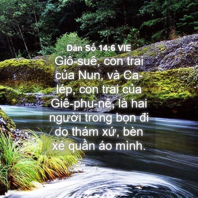 Picture 04 - Dân Số 14:6 VIE - Giô-suê, con trai của Nun, và Ca-lép, con - Bible Verse Picture