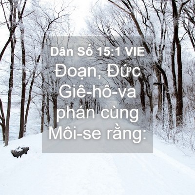 Picture 04 - Dân Số 15:1 VIE - Đoạn, Đức Giê-hô-va phán cùng Môi-se - Bible Verse Picture