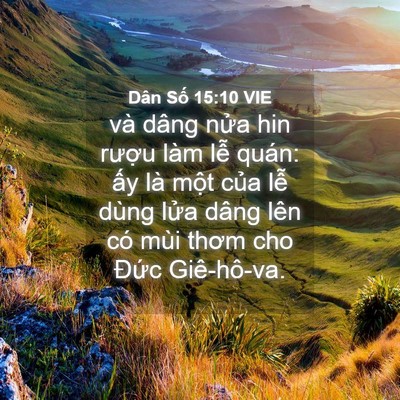 Picture 04 - Dân Số 15:10 VIE - và dâng nửa hin rượu làm lễ quán: ấy - Bible Verse Picture