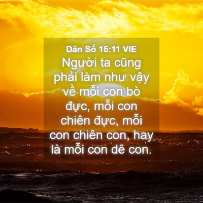 Picture 04 - Dân Số 15:11 VIE - Người ta cũng phải làm như vậy về - Bible Verse Picture