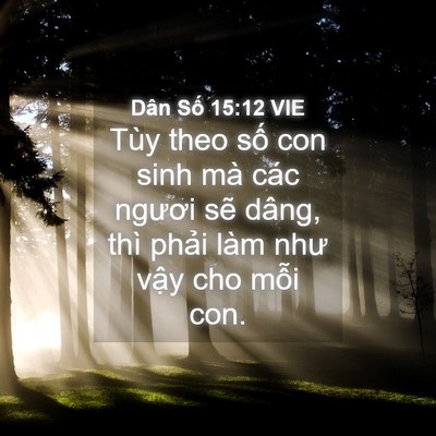 Picture 04 - Dân Số 15:12 VIE - Tùy theo số con sinh mà các ngươi sẽ - Bible Verse Picture