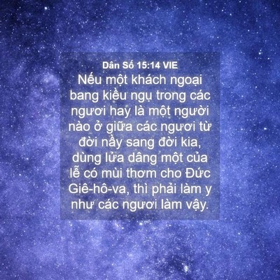 Picture 04 - Dân Số 15:14 VIE - Nếu một khách ngoại bang kiều ngụ - Bible Verse Picture