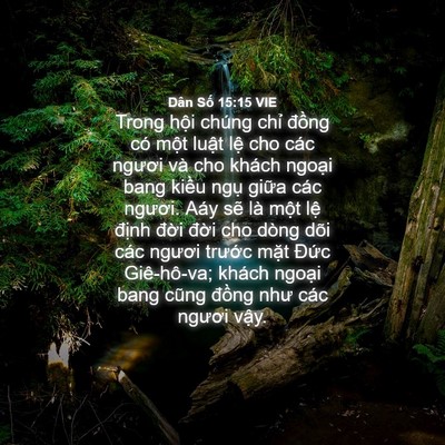 Picture 04 - Dân Số 15:15 VIE - Trong hội chúng chỉ đồng có một luật - Bible Verse Picture