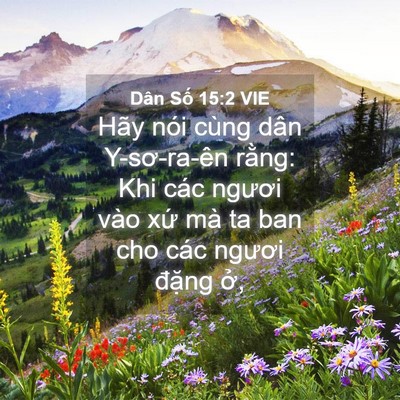 Picture 04 - Dân Số 15:2 VIE - Hãy nói cùng dân Y-sơ-ra-ên rằng: Khi - Bible Verse Picture