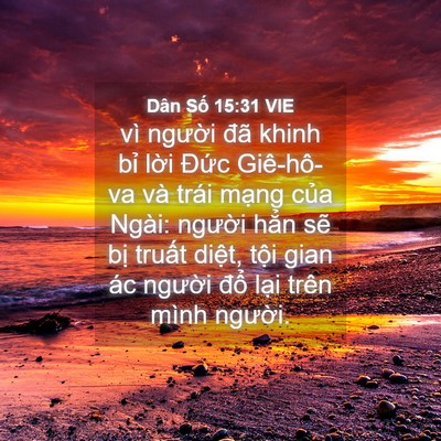 Picture 04 - Dân Số 15:31 VIE - vì người đã khinh bỉ lời Đức - Bible Verse Picture