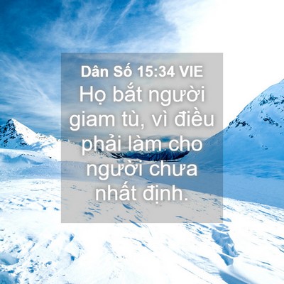 Picture 04 - Dân Số 15:34 VIE - Họ bắt người giam tù, vì điều phải - Bible Verse Picture
