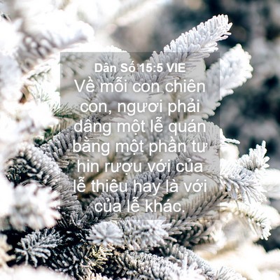 Picture 04 - Dân Số 15:5 VIE - Về mỗi con chiên con, ngươi phải dâng - Bible Verse Picture