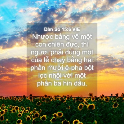 Picture 04 - Dân Số 15:6 VIE - Nhược bằng về một con chiên đực, - Bible Verse Picture