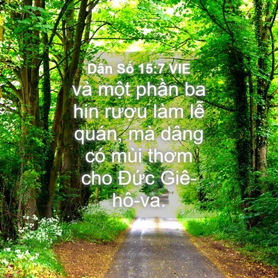 Picture 04 - Dân Số 15:7 VIE - và một phần ba hin rượu làm lễ quán, - Bible Verse Picture