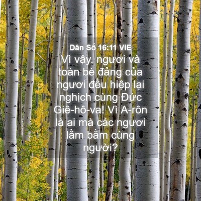 Picture 04 - Dân Số 16:11 VIE - Vì vậy, ngươi và toàn bè đảng của - Bible Verse Picture