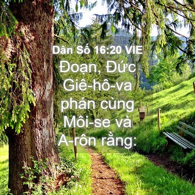 Picture 04 - Dân Số 16:20 VIE - Đoạn, Đức Giê-hô-va phán cùng Môi-se - Bible Verse Picture