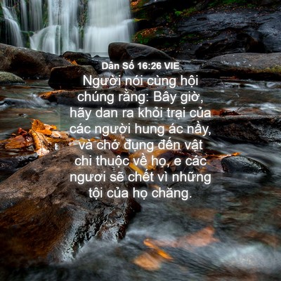 Picture 04 - Dân Số 16:26 VIE - Người nói cùng hội chúng rằng: Bây - Bible Verse Picture