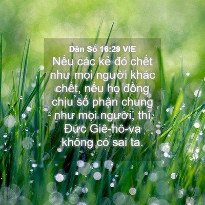 Picture 04 - Dân Số 16:29 VIE - Nếu các kẻ đó chết như mọi người - Bible Verse Picture