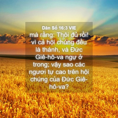 Picture 04 - Dân Số 16:3 VIE - mà rằng: Thôi đủ rồi! vì cả hội - Bible Verse Picture