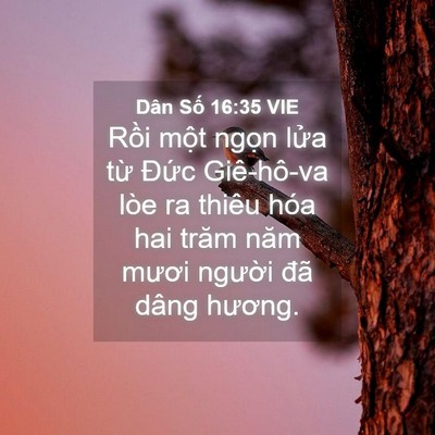 Picture 04 - Dân Số 16:35 VIE - Rồi một ngọn lửa từ Đức Giê-hô-va - Bible Verse Picture