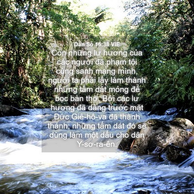 Picture 04 - Dân Số 16:38 VIE - Còn những lư hương của các người đã - Bible Verse Picture