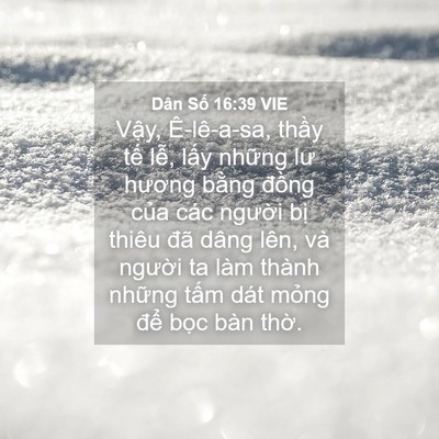 Picture 04 - Dân Số 16:39 VIE - Vậy, Ê-lê-a-sa, thầy tế lễ, lấy - Bible Verse Picture
