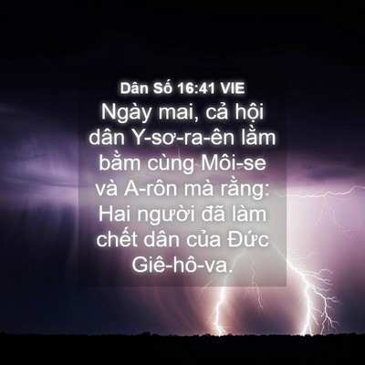 Picture 04 - Dân Số 16:41 VIE - Ngày mai, cả hội dân Y-sơ-ra-ên lằm - Bible Verse Picture