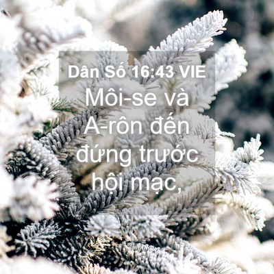 Picture 04 - Dân Số 16:43 VIE - Môi-se và A-rôn đến đứng trước hội - Bible Verse Picture
