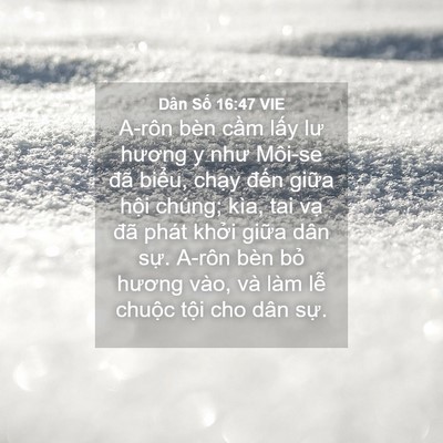 Picture 04 - Dân Số 16:47 VIE - A-rôn bèn cầm lấy lư hương y như - Bible Verse Picture