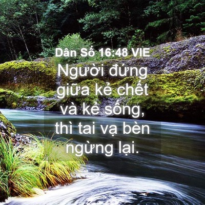 Picture 04 - Dân Số 16:48 VIE - Người đứng giữa kẻ chết và kẻ - Bible Verse Picture