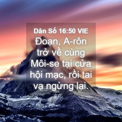 Picture 04 - Dân Số 16:50 VIE - Đoạn, A-rôn trở về cùng Môi-se tại - Bible Verse Picture