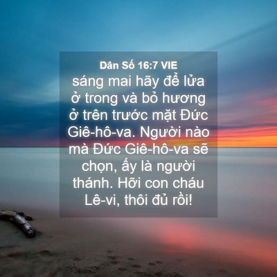 Picture 04 - Dân Số 16:7 VIE - sáng mai hãy để lửa ở trong và bỏ - Bible Verse Picture