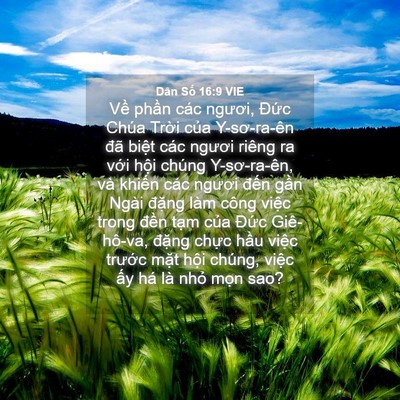 Picture 04 - Dân Số 16:9 VIE - Về phần các ngươi, Đức Chúa Trời - Bible Verse Picture