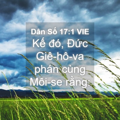Picture 04 - Dân Số 17:1 VIE - Kế đó, Đức Giê-hô-va phán cùng Môi-se - Bible Verse Picture