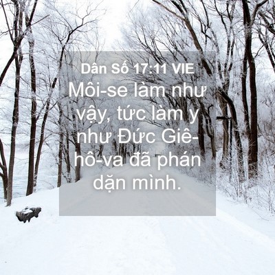 Picture 04 - Dân Số 17:11 VIE - Môi-se làm như vậy, tức làm y như Đức - Bible Verse Picture