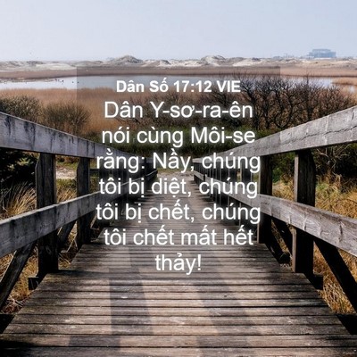 Picture 04 - Dân Số 17:12 VIE - Dân Y-sơ-ra-ên nói cùng Môi-se rằng: - Bible Verse Picture