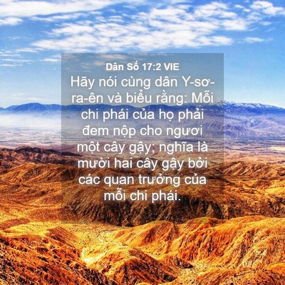 Picture 04 - Dân Số 17:2 VIE - Hãy nói cùng dân Y-sơ-ra-ên và biểu - Bible Verse Picture
