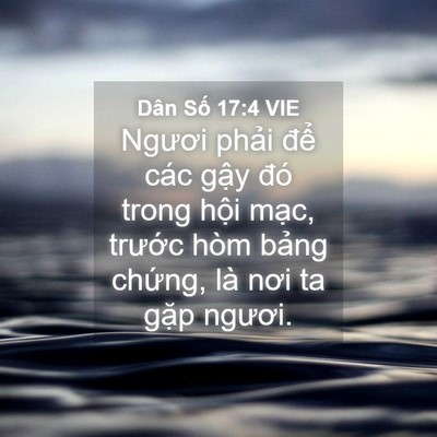 Picture 04 - Dân Số 17:4 VIE - Ngươi phải để các gậy đó trong hội - Bible Verse Picture