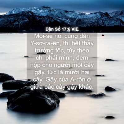 Picture 04 - Dân Số 17:6 VIE - Môi-se nói cùng dân Y-sơ-ra-ên, thì hết - Bible Verse Picture