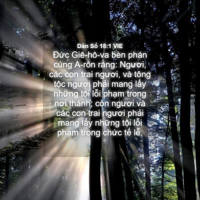 Picture 04 - Dân Số 18:1 VIE - Đức Giê-hô-va bèn phán cùng A-rôn - Bible Verse Picture